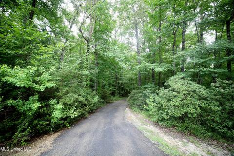 109 Mickie Dr, Brandon, MS 39042 photo 42