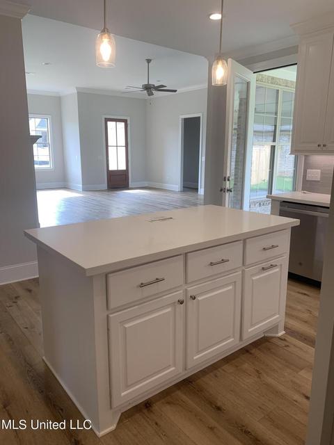 501 Crested Cv, Madison, MS 39110 photo 19