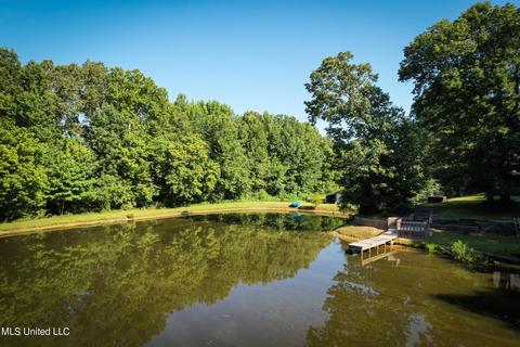 3505 Nesbit Rd, Nesbit, MS 38651 photo 36
