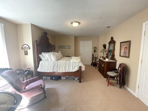 3505 Nesbit Rd, Nesbit, MS 38651 photo 22