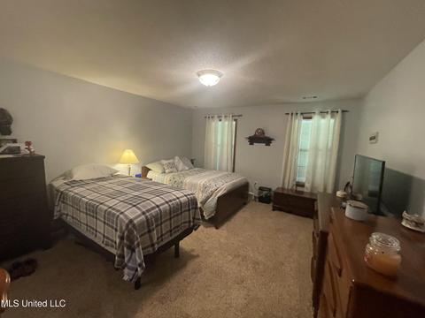 3505 Nesbit Rd, Nesbit, MS 38651 photo 16