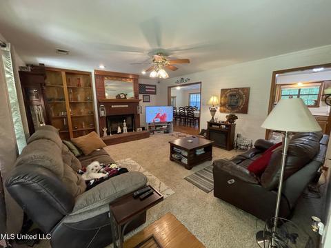 3505 Nesbit Rd, Nesbit, MS 38651 photo 2