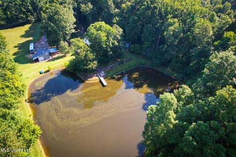 3505 Nesbit Rd, Nesbit, MS 38651 photo 46