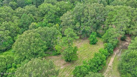 217 Stokes Robertson Rd, Jackson, MS 39212 photo 53