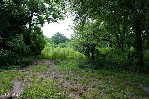 217 Stokes Robertson Rd, Jackson, MS 39212 photo 77