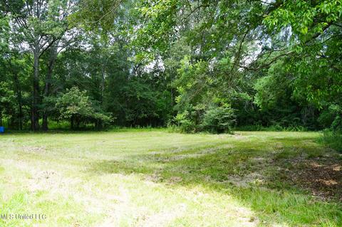 217 Stokes Robertson Rd, Jackson, MS 39212 photo 61