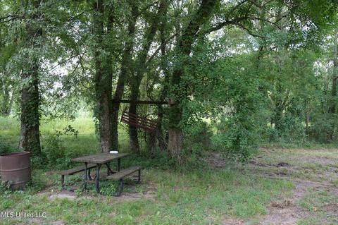 217 Stokes Robertson Rd, Jackson, MS 39212 photo 78