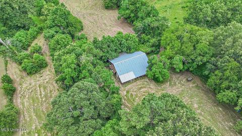 217 Stokes Robertson Rd, Jackson, MS 39212 photo 52