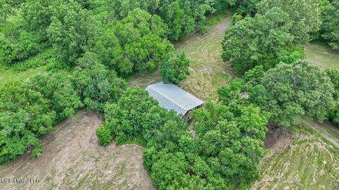 217 Stokes Robertson Rd, Jackson, MS 39212 photo 34