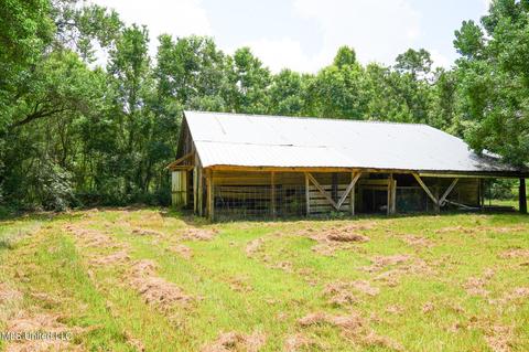 217 Stokes Robertson Rd, Jackson, MS 39212 photo 59