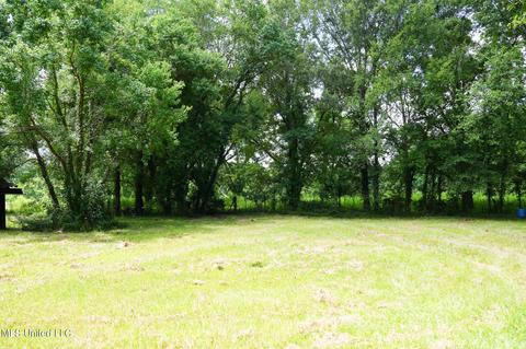 217 Stokes Robertson Rd, Jackson, MS 39212 photo 60