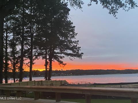 104 Audubon Point Dr, Brandon, MS 39047 photo 52