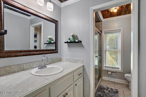 104 Audubon Point Dr, Brandon, MS 39047 photo 29