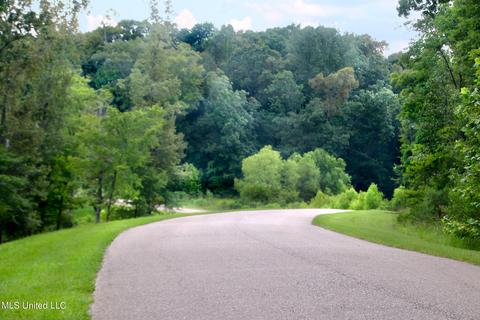 lot102 Chestnut Hill Rd, Flora, MS 39071 photo 1