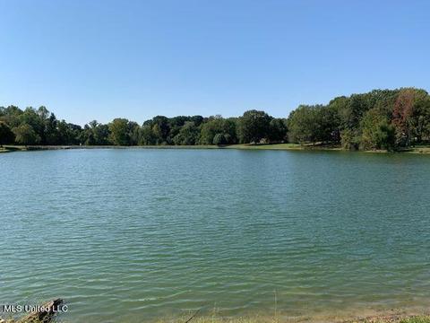 6760 Lake Forest Dr, Walls, MS 38680 photo 6