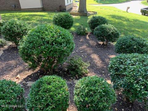 6760 Lake Forest Dr, Walls, MS 38680 photo 7