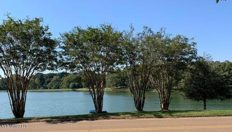 6760 Lake Forest Dr, Walls, MS 38680 photo 11