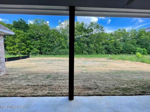 926 Glenwild Cir, Canton, MS 39046 photo 25