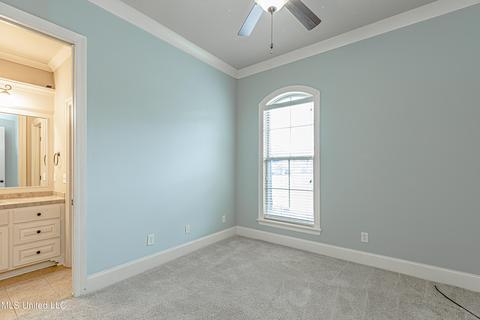 100 Bridgeton Ct, Canton, MS 39046 photo 36