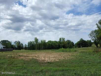 13903 Myers Plantation Rd, Byhalia, MS 38611