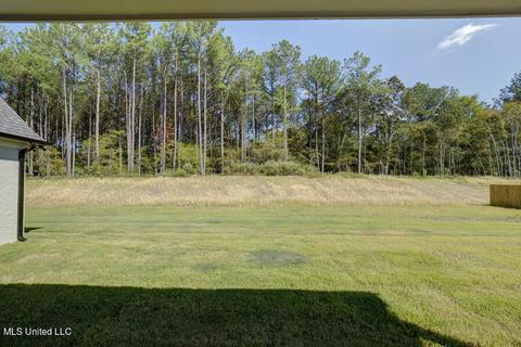 14271 Hidden Loop, Byhalia, MS 38611 photo 34
