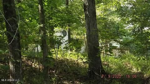 107 Costilow Rd, Grenada, MS 38901 photo 5