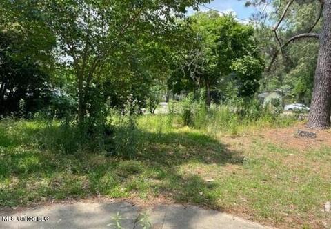 319 E Northside Dr, Jackson, MS 39206 photo 24