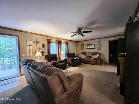 446 Cedar Hts, Pope, MS 38658 photo 59