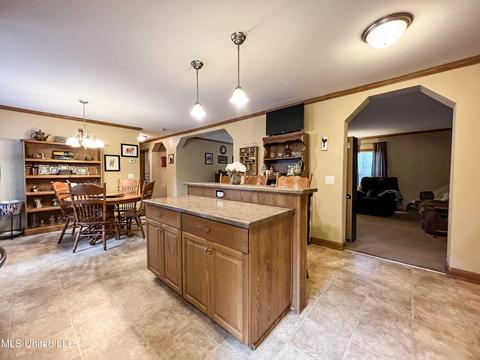 446 Cedar Hts, Pope, MS 38658 photo 75
