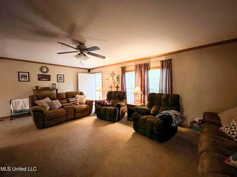 446 Cedar Hts, Pope, MS 38658 photo 58