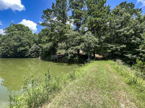 446 Cedar Hts, Pope, MS 38658 photo 34