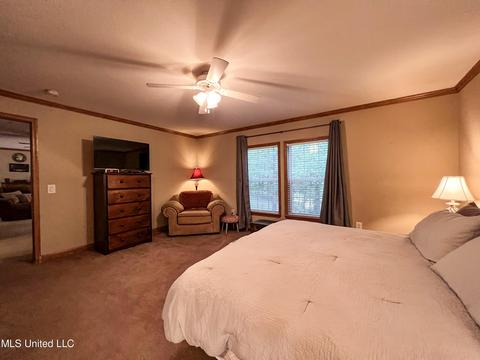 446 Cedar Hts, Pope, MS 38658 photo 82