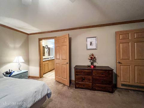 446 Cedar Hts, Pope, MS 38658 photo 85