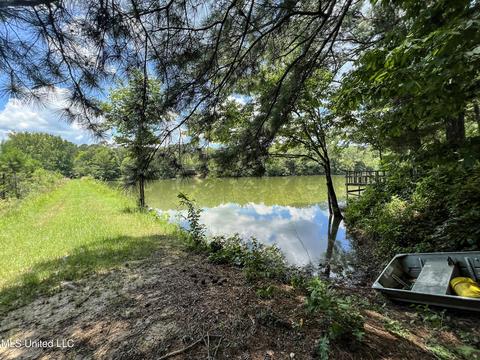 446 Cedar Hts, Pope, MS 38658 photo 33