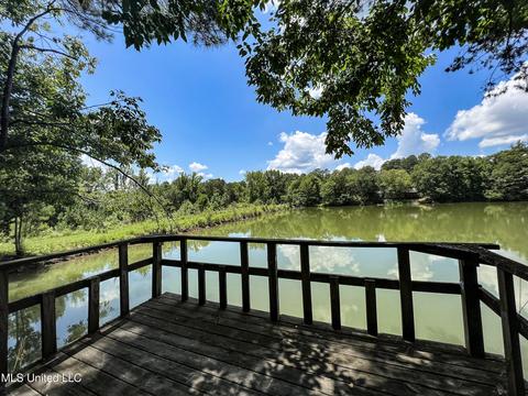 446 Cedar Hts, Pope, MS 38658 photo 29