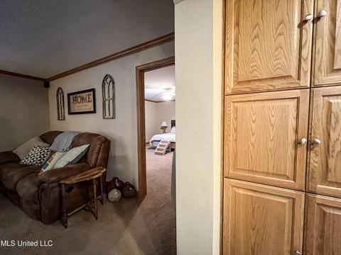 446 Cedar Hts, Pope, MS 38658 photo 77