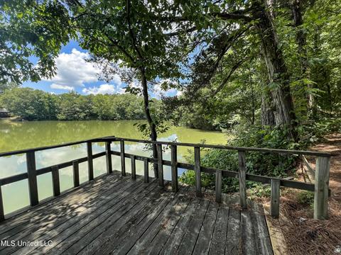 446 Cedar Hts, Pope, MS 38658 photo 31