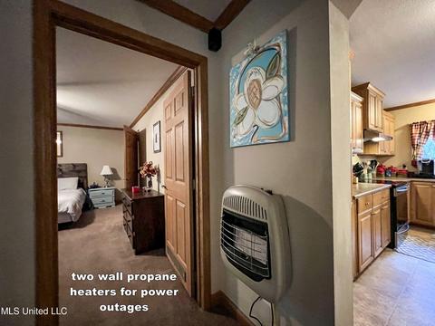 446 Cedar Hts, Pope, MS 38658 photo 78