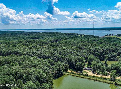 446 Cedar Hts, Pope, MS 38658 photo 6