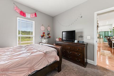 130 Susan Cooley Road Rd, Lucedale, MS 39452 photo 26