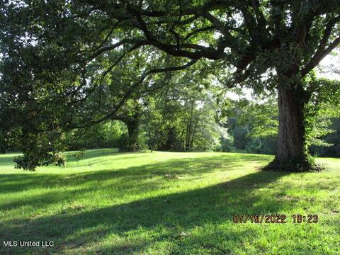 29 Cr 515, Como, MS 38619 photo 51