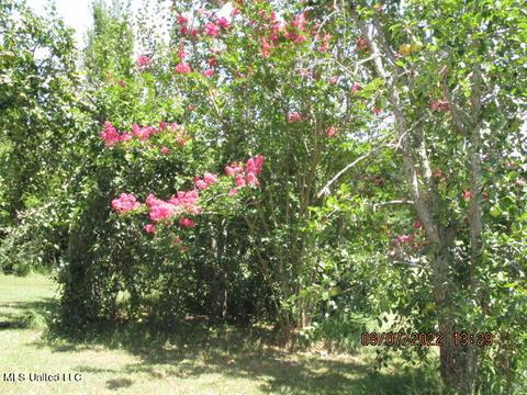 29 Cr 515, Como, MS 38619 photo 40