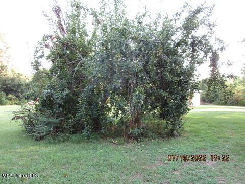 29 Cr 515, Como, MS 38619 photo 48