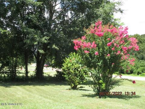 29 Cr 515, Como, MS 38619 photo 46