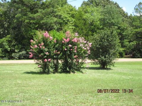 29 Cr 515, Como, MS 38619 photo 45