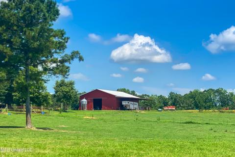 2291 Scr 70, Mize, MS 39116 photo 52