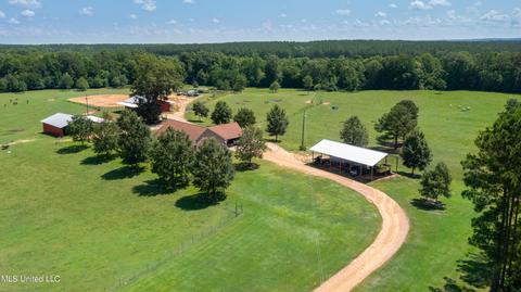 2291 Scr 70, Mize, MS 39116 photo 1