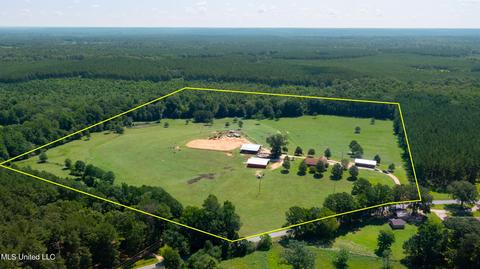 2291 Scr 70, Mize, MS 39116 photo 55