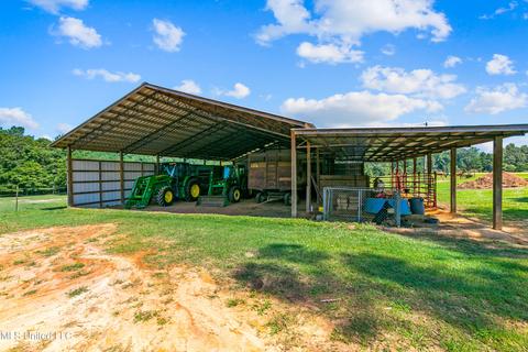 2291 Scr 70, Mize, MS 39116 photo 44