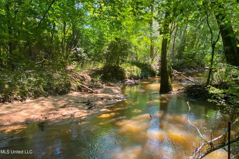 2291 Scr 70, Mize, MS 39116 photo 7